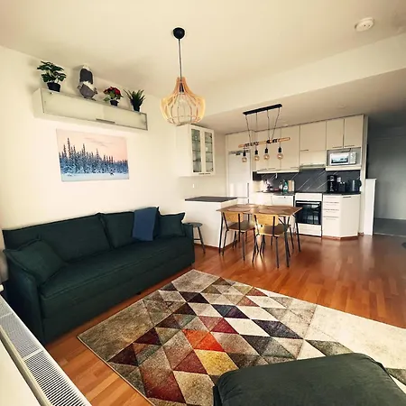 Rovaniemi, High Quality Centrum And Sauna * Rovaniemi